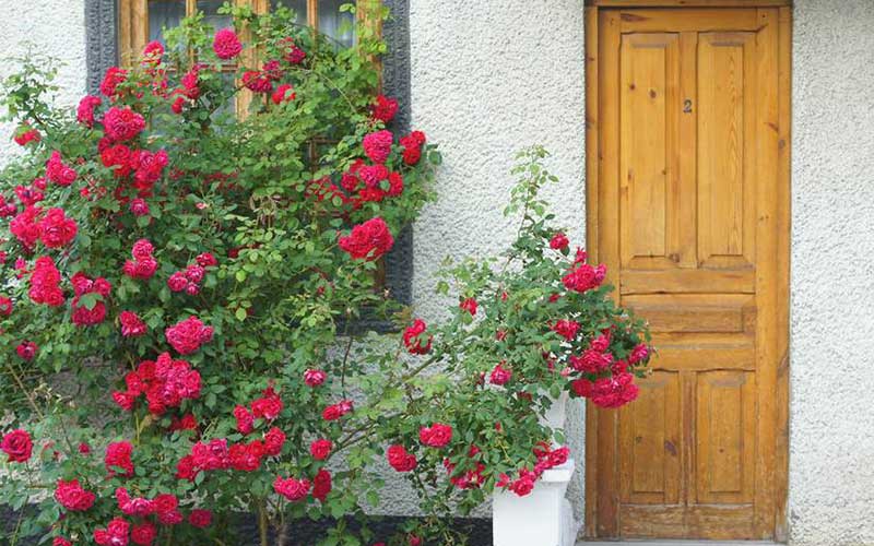 جلوگیری از دزدی در خانه جدید 